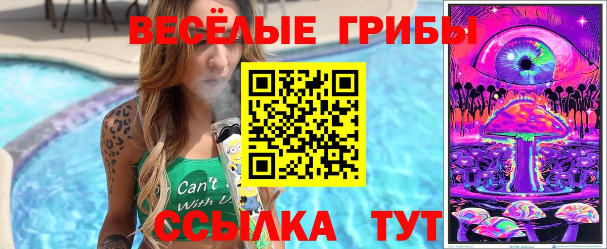 Псилоцибиновые грибы мицелий  Вход с VPN  Курганинск 