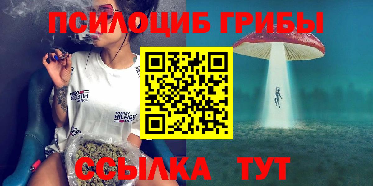 Псилоцибиновые грибы Psilocybine cubensis Курганинск