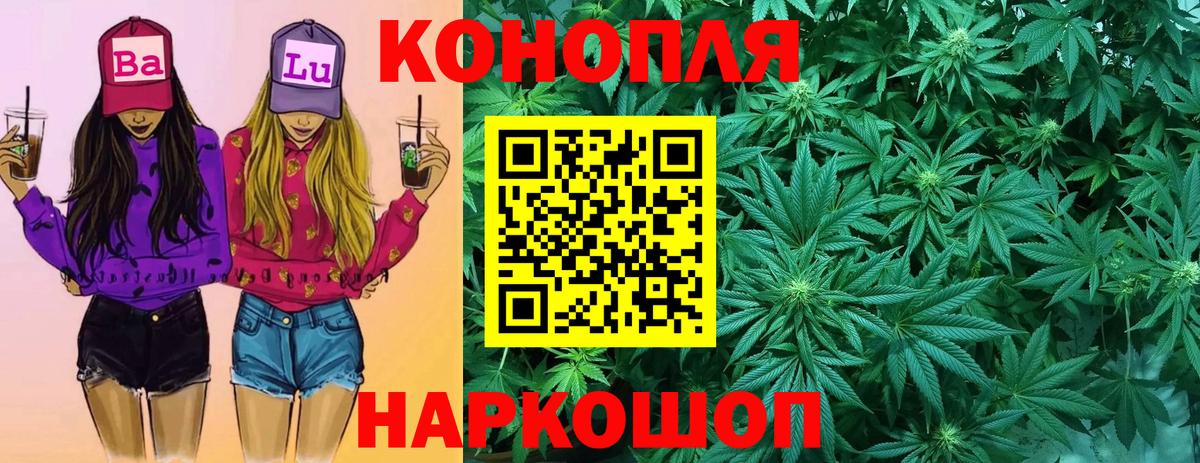 Бошки марихуана план Курганинск